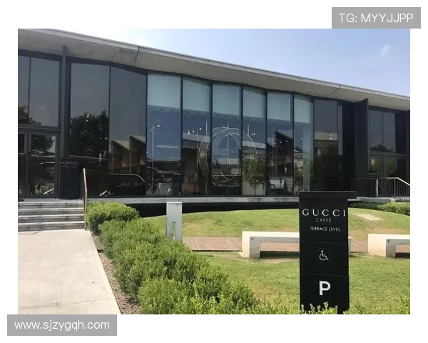 佛罗伦萨欲引科波拉因布莱顿无机会